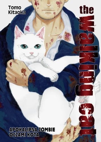 cat1.jpg