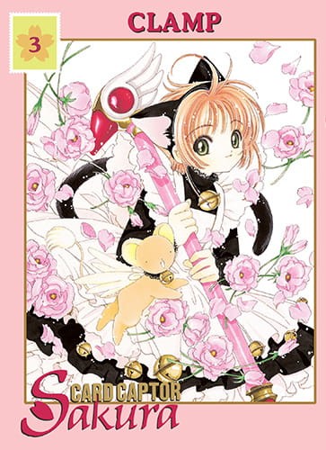 ccs3.jpg