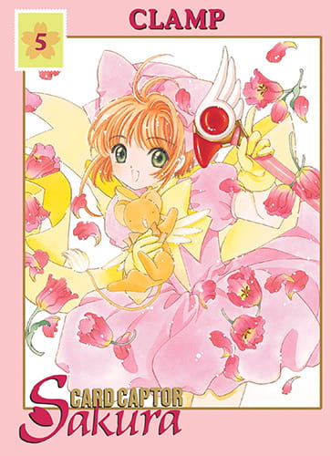 ccs5.jpg