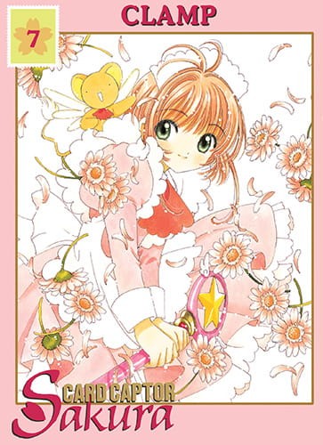 ccs7.jpg