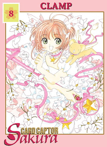 ccs8.jpg