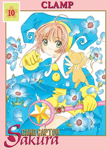 ccs10.jpg