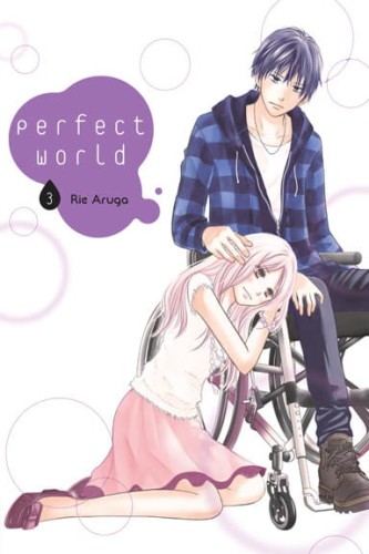 perfect_3.jpg