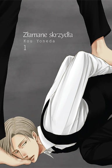 zlamaneskrzydla_1.jpg
