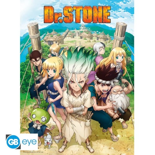 dr-stone-poster-chibi-52x38-groupe.jpg