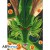 dragon-ball-z-postcards-set-1.jpg