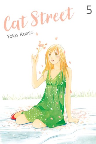 cat_street_5.jpg