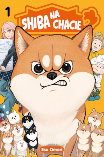 shiba_1.jpg