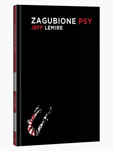 Zagubione.jpg